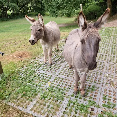 Bergkultur Sauerland Apartamento