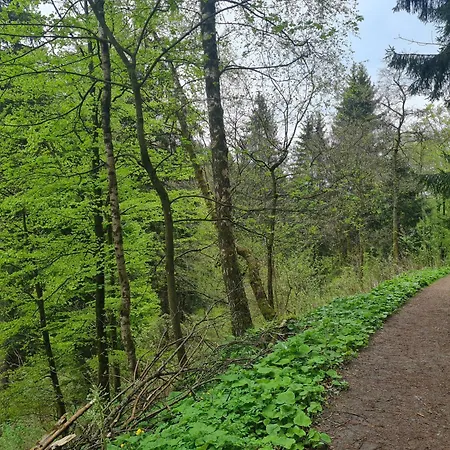 Bergkultur Sauerland *