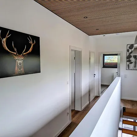 Bergkultur Sauerland * Medebach