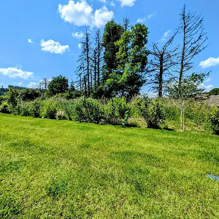 Bergkultur Sauerland * Medebach